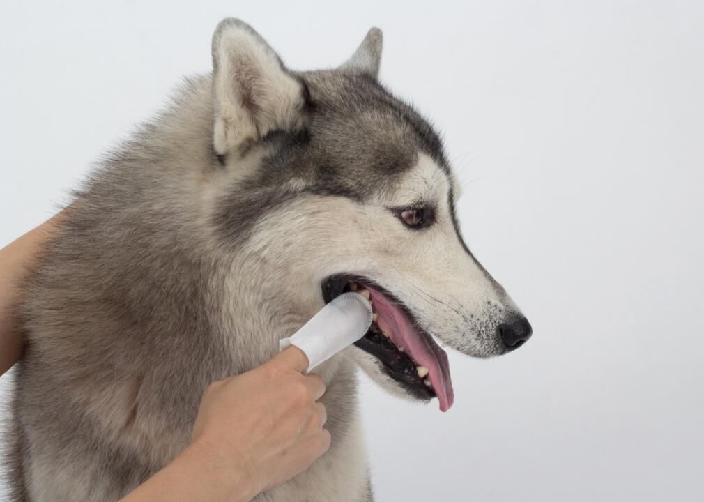 Dental wipes